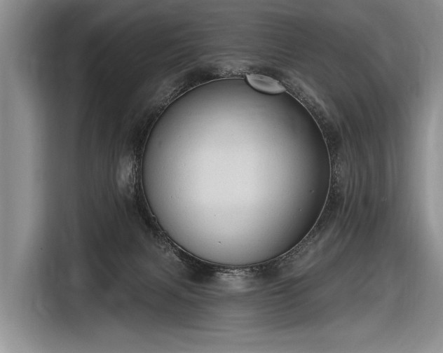 X0000116570079200912171512