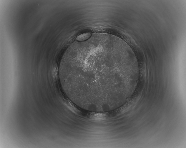 X0000116570081200912171512