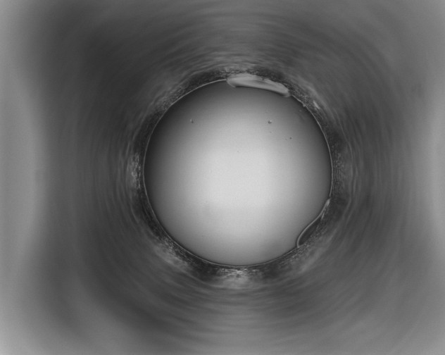 X0000116570083200912171512