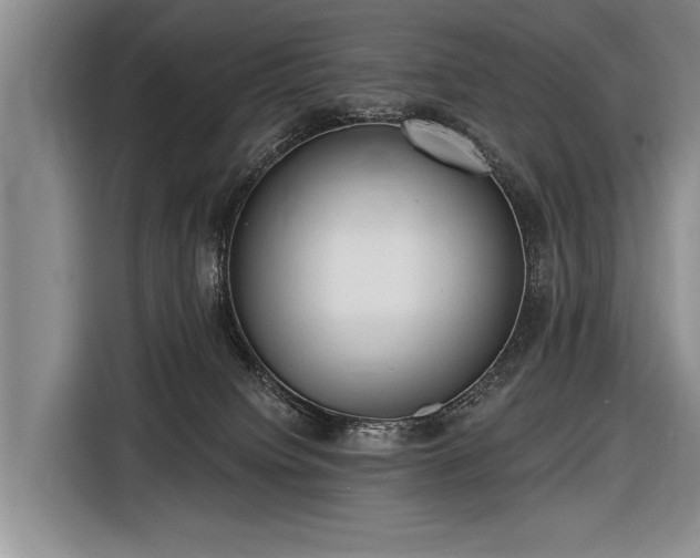 X0000116570084200912171512