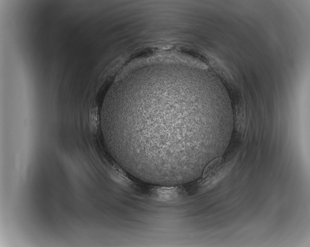 X0000116570085200912171512