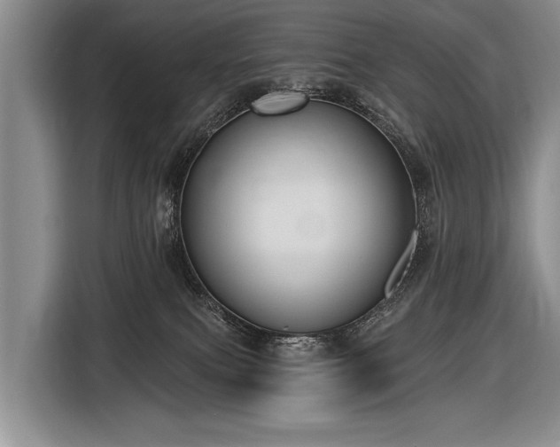 X0000116570087200912171512