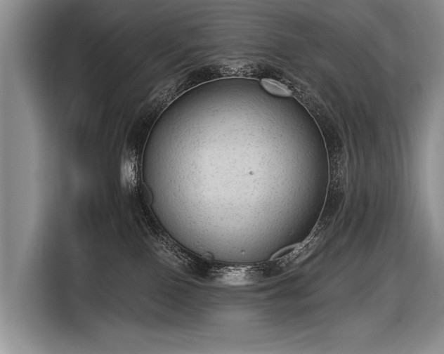 X0000116570090200912171512