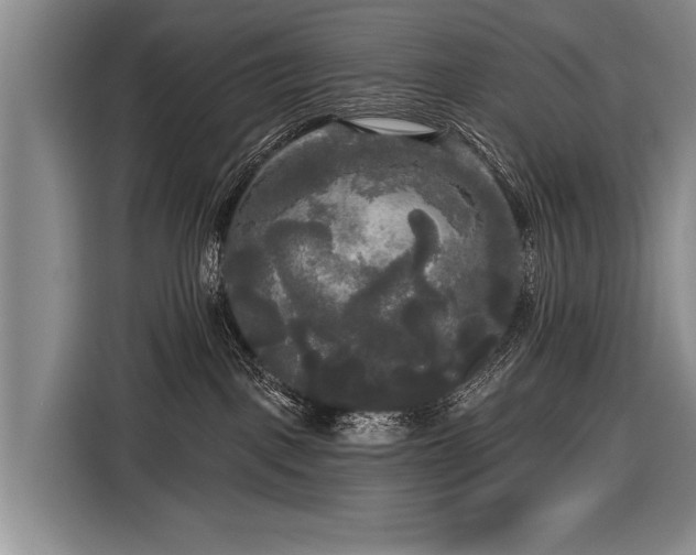 X0000116570093200912171512