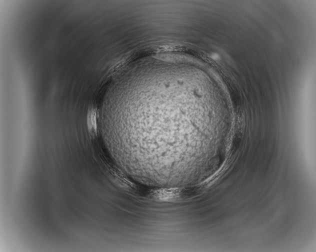 X0000116570094200912171512