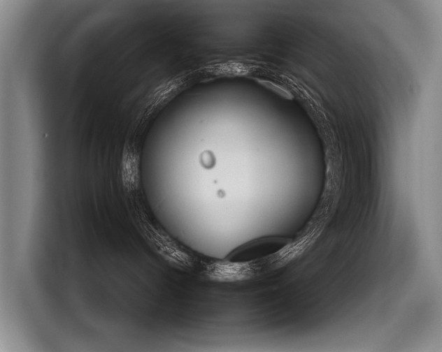 X0000116570096200912171512