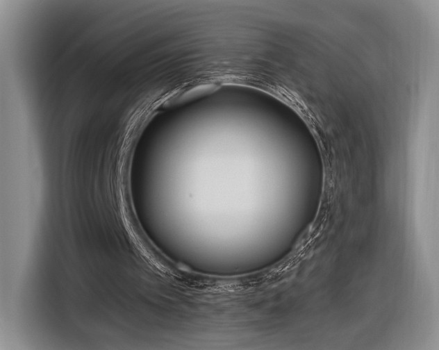 X0000116570097200912171512