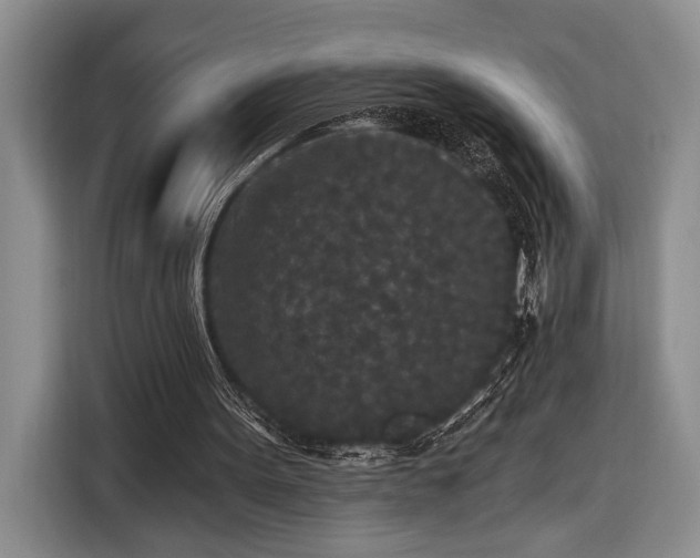 X0000116570099200912171512