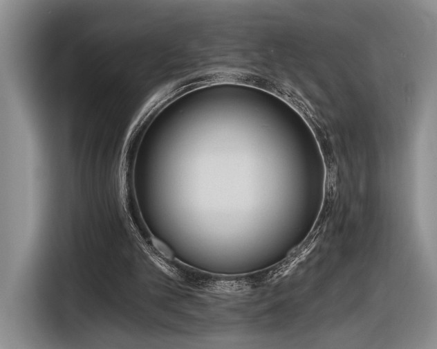 X0000116570101200912171512