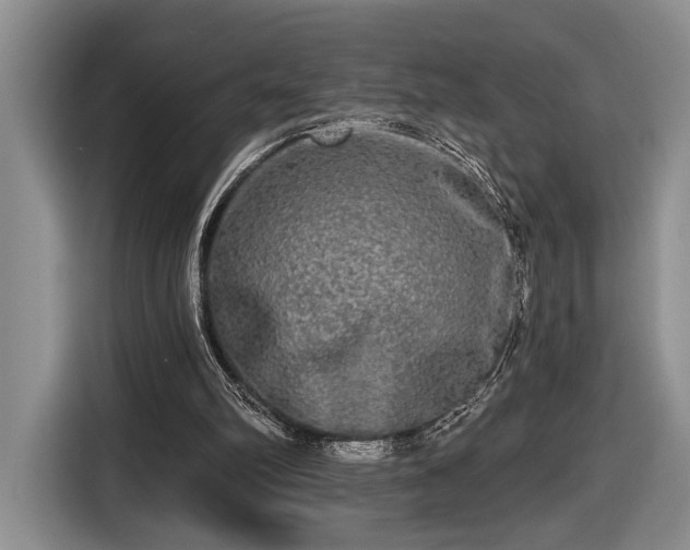 X0000116570102200912171512