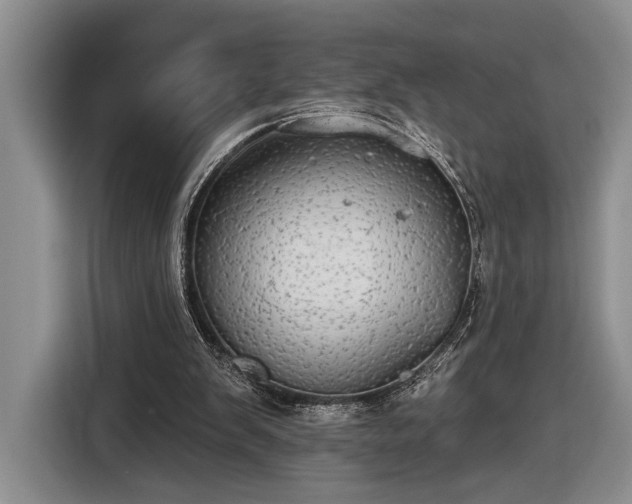 X0000116570103200912171512