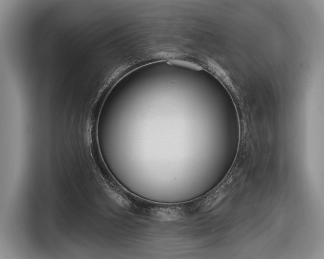 X0000116570106200912171512