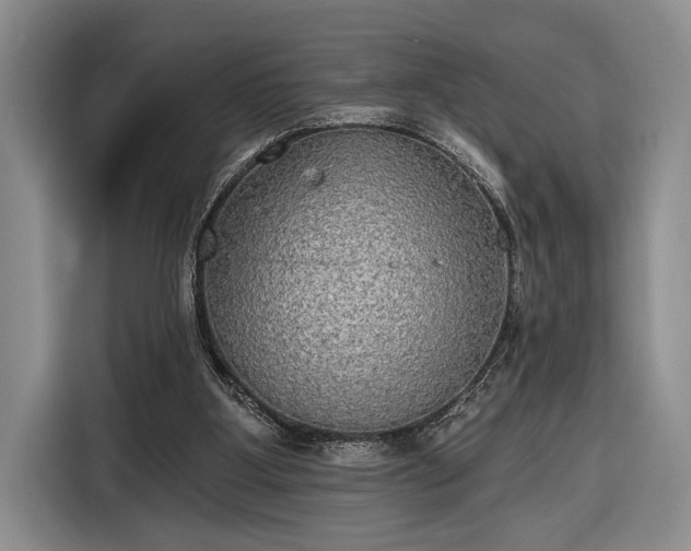 X0000116570107200912171512