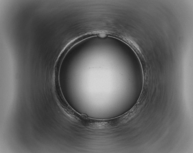 X0000116570108200912171512