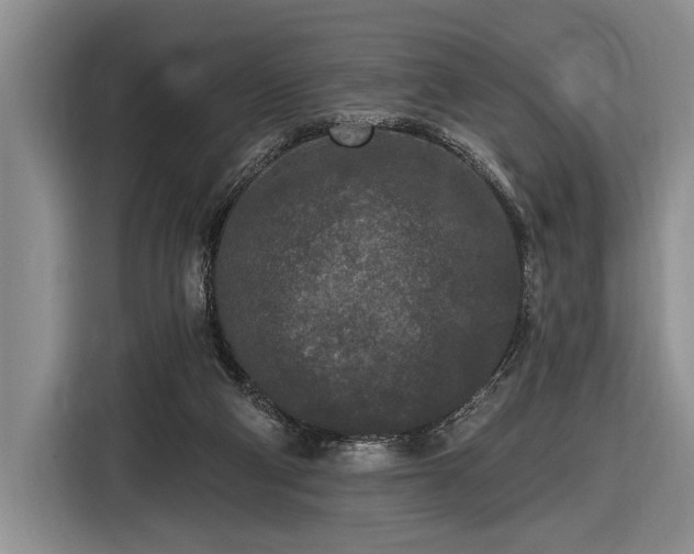 X0000116570114200912171511