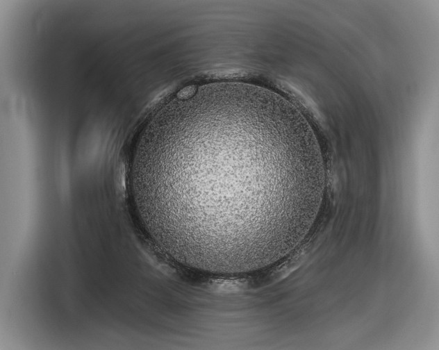 X0000116570115200912171511