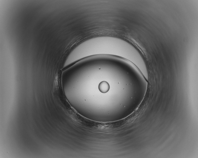 X0000116570117200912171511