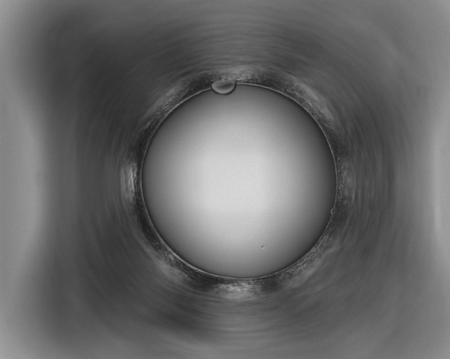 X0000116570118200912171511