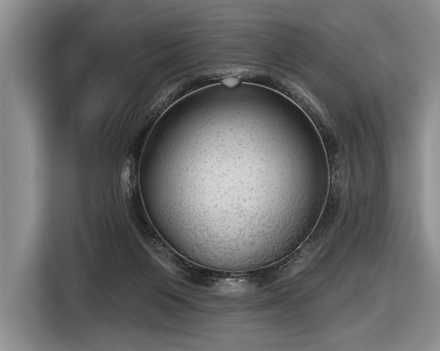 X0000116570119200912171511