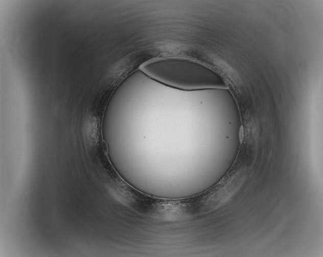 X0000116570121200912171511