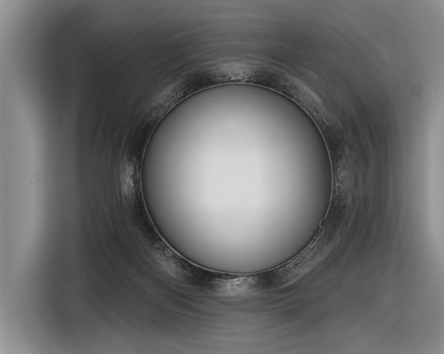 X0000116570122200912171511