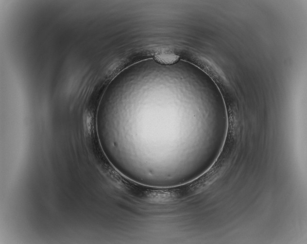 X0000116570123200912171511