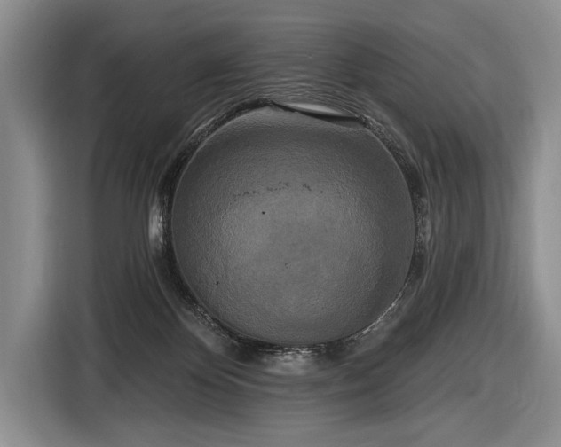 X0000116570124200912171511