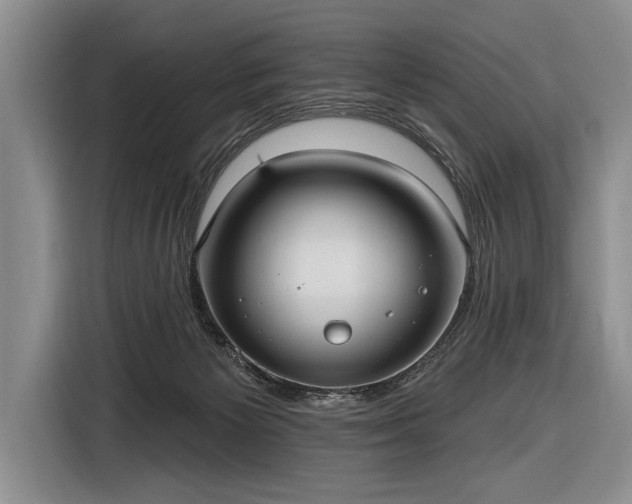 X0000116570125200912171511