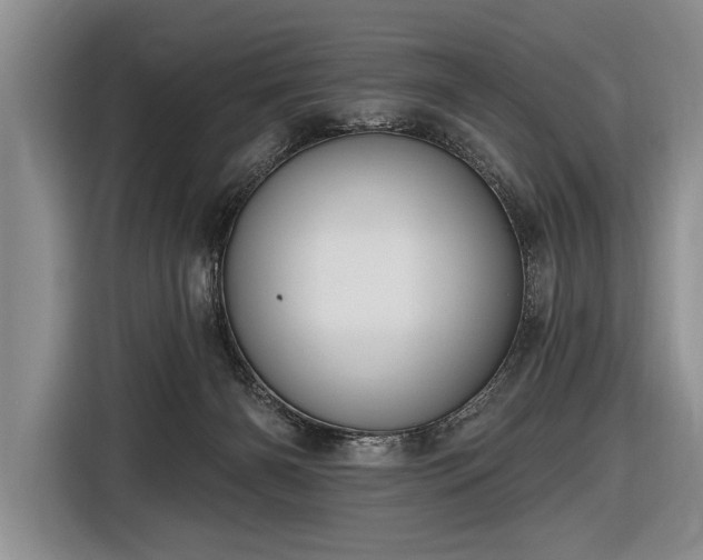 X0000116570126200912171511