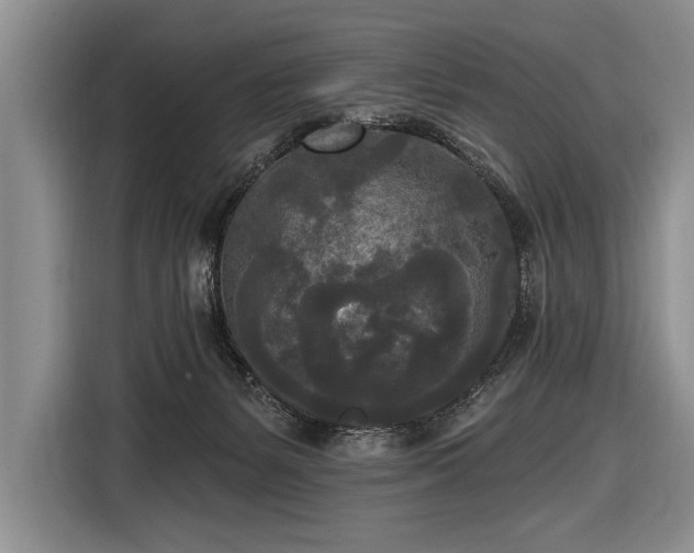 X0000116570127200912171511