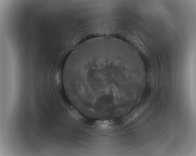 X0000116570131200912171511