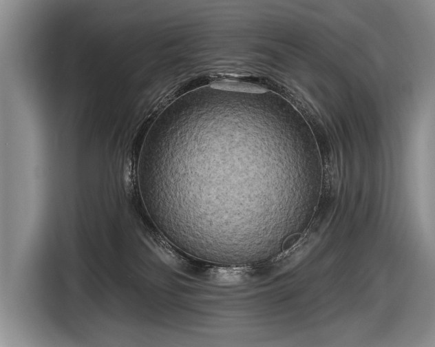 X0000116570134200912171511