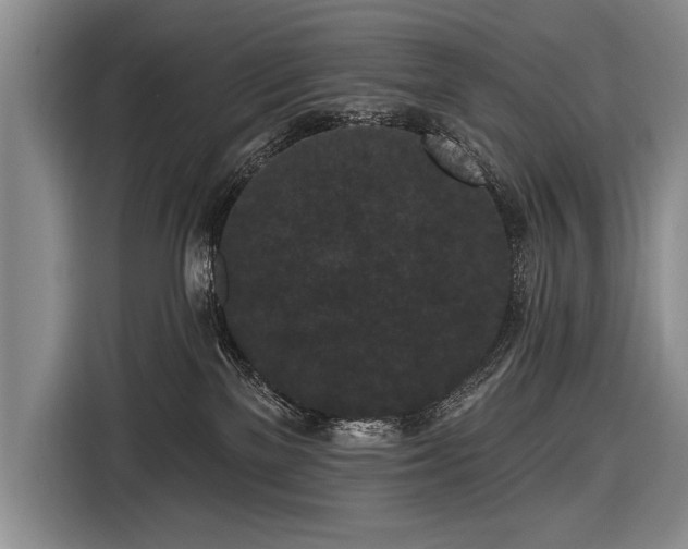 X0000116570137200912171511