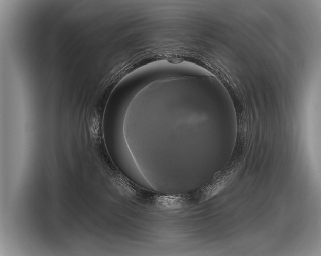 X0000116570139200912171511