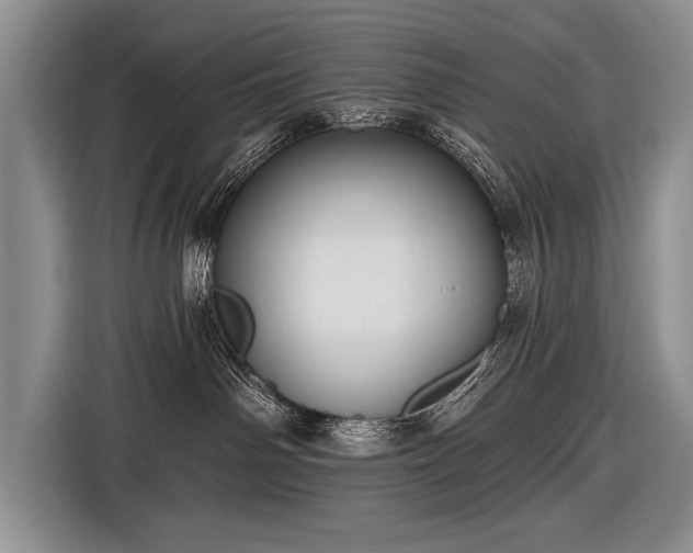 X0000116570142200912171511