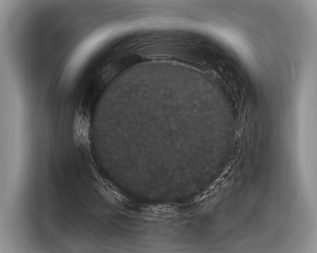 X0000116570146200912171510