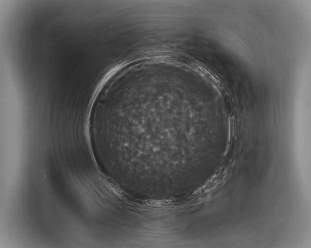 X0000116570147200912171510