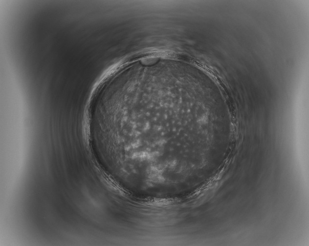 X0000116570149200912171511