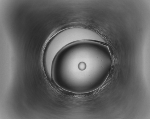 X0000116570150200912171511