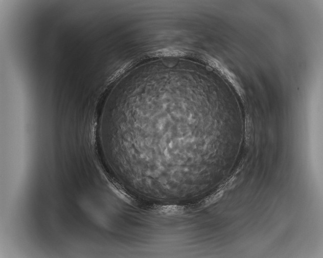 X0000116570153200912171511