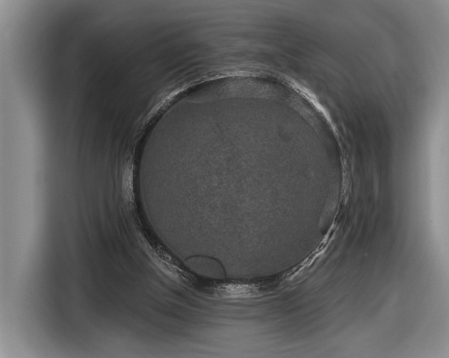 X0000116570154200912171511