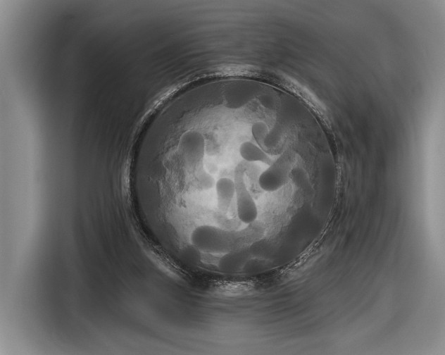 X0000116570155200912171511