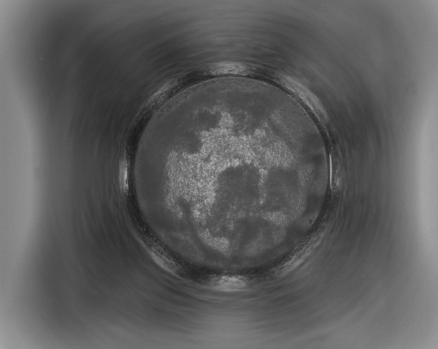 X0000116570157200912171511