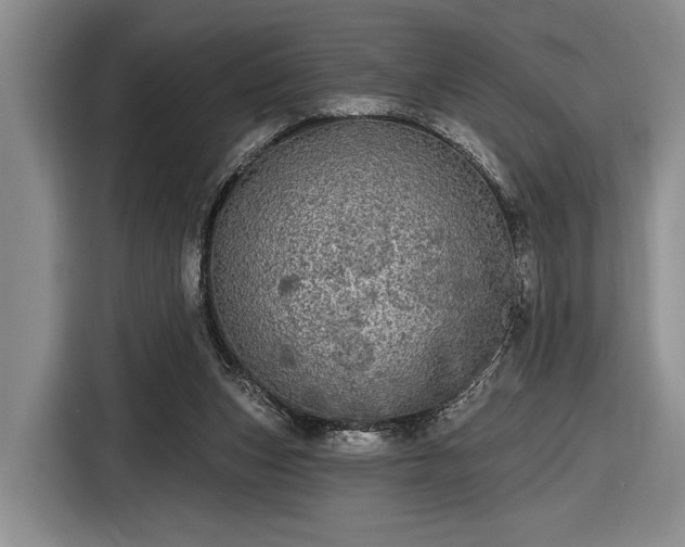 X0000116570159200912171511