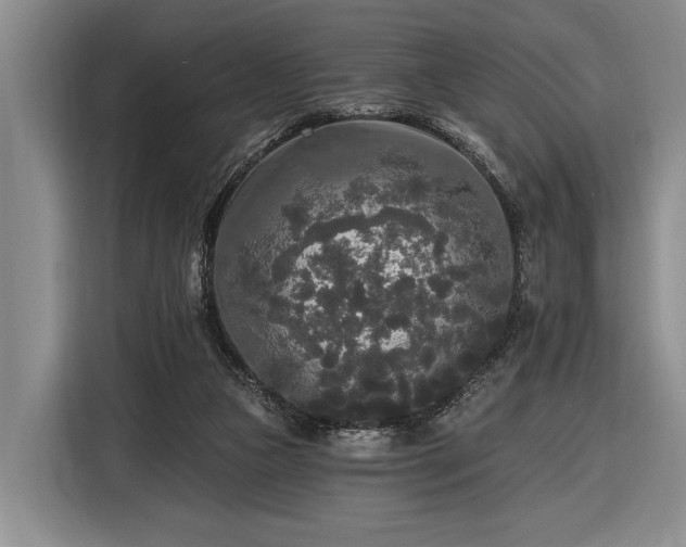 X0000116570161200912171511