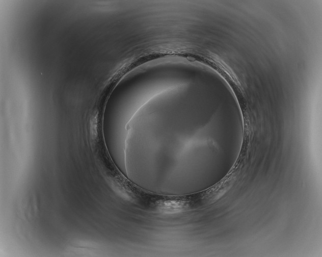 X0000116570163200912171511