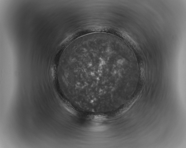 X0000116570165200912171511