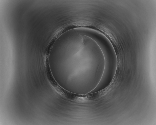 X0000116570167200912171511