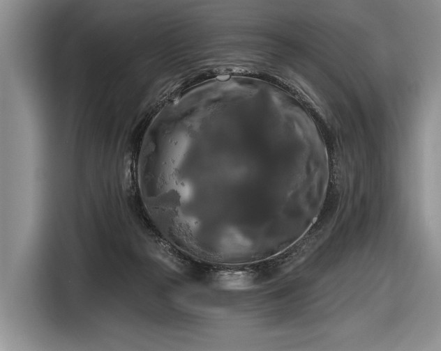 X0000116570169200912171511