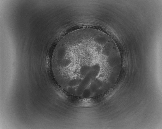 X0000116570173200912171511